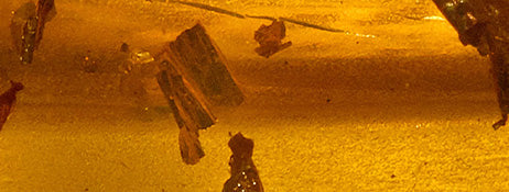 collection-banner
