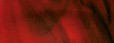 collection-banner
