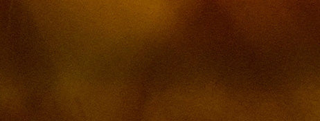 collection-banner